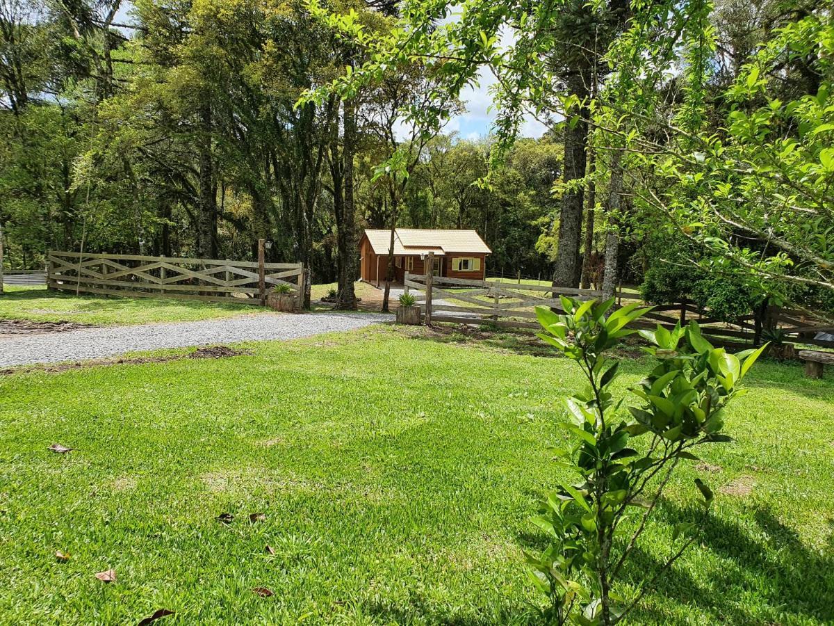 Sitio Recanto Feliz Gramado Dış mekan fotoğraf