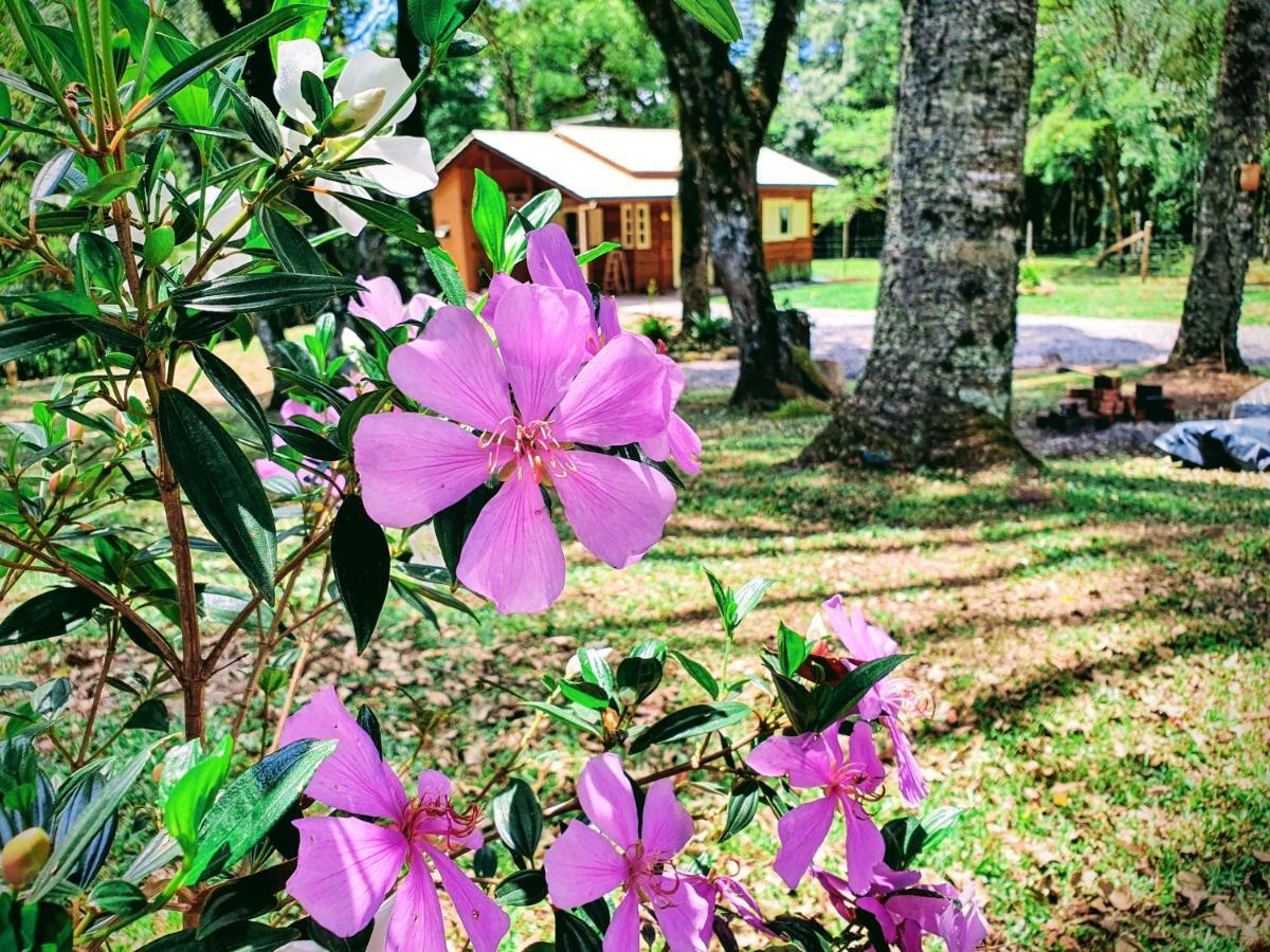 Sitio Recanto Feliz Gramado Dış mekan fotoğraf