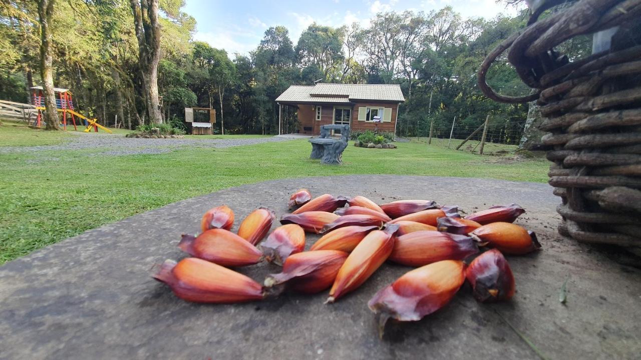 Sitio Recanto Feliz Gramado Dış mekan fotoğraf